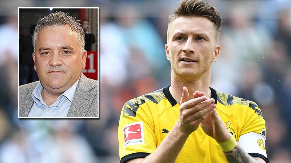 让青岛海牛 让青岛海牛